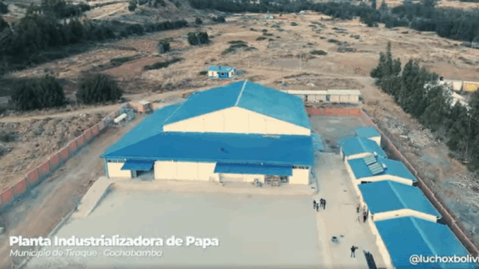 PLPAPA