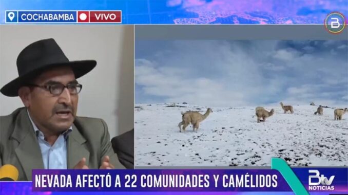 COCAPTA
