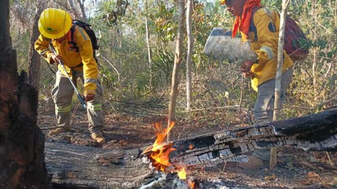 FFAA_incendios_1