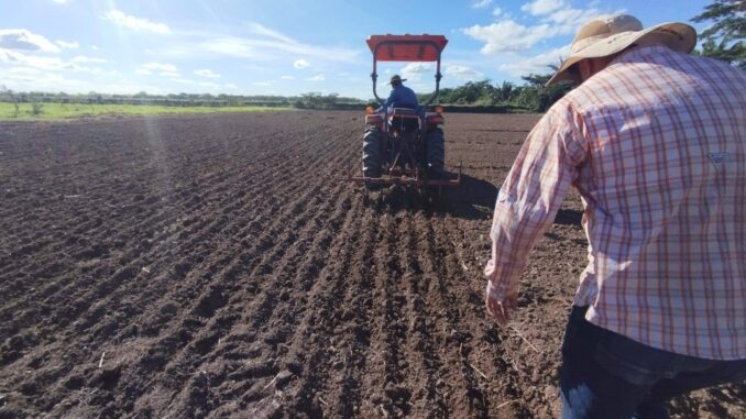Productores