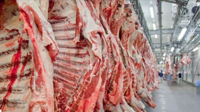 brasil-carne-1