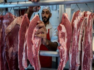 Carne