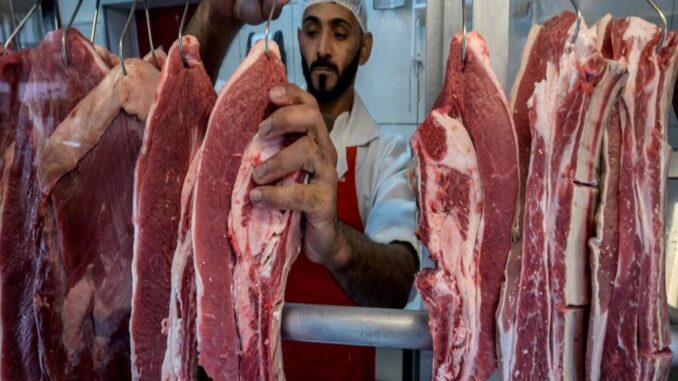 Carne-1 Carne