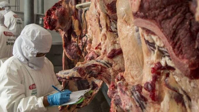 Carne