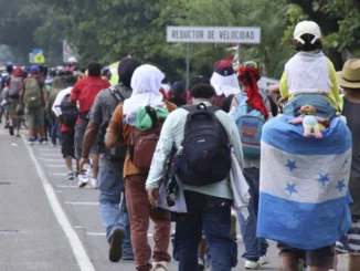 Migrantes