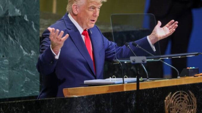 Trump Trump