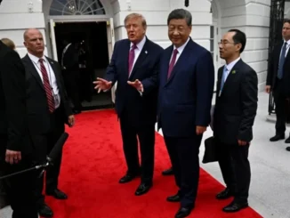 XI