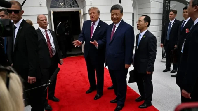 XI XI